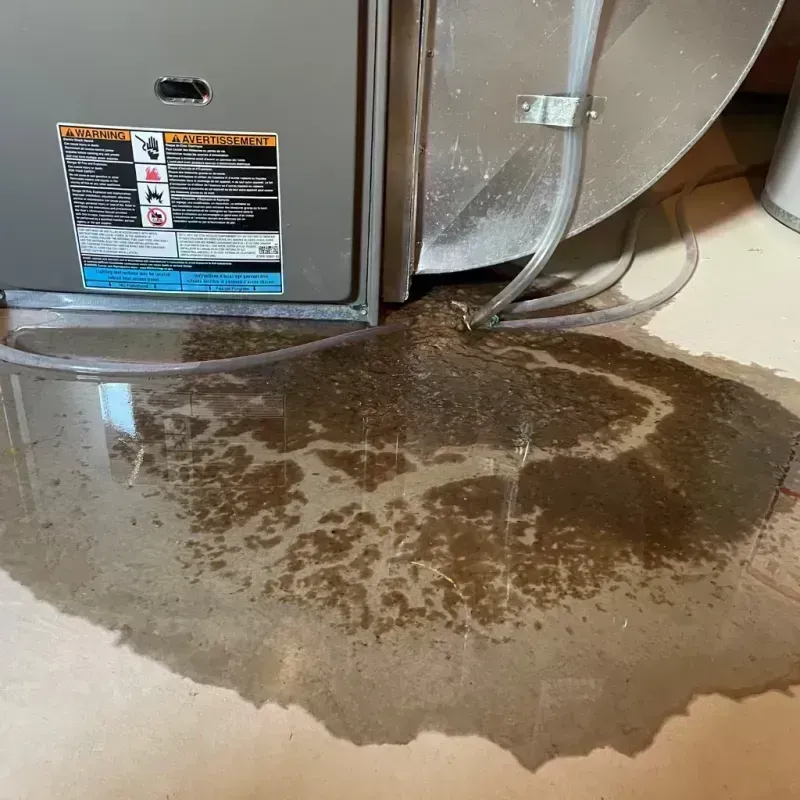 Appliance Leak Cleanup in Monument Hills, CA